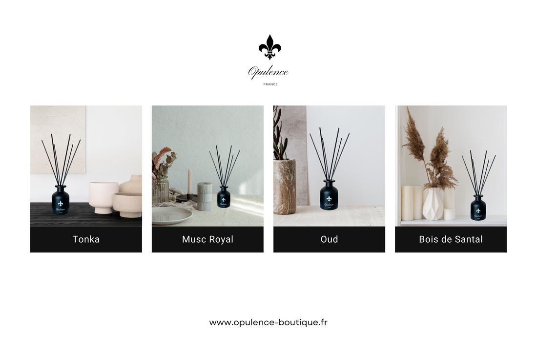 Diffuseur de Parfum à Bâtonnets Opulence : Un Élixir de Bien-être au Quotidien