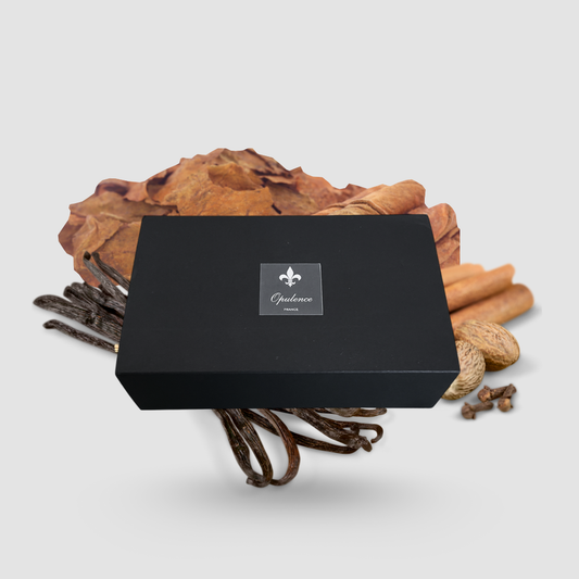 Coffret cadeau barbe opulence en lévitation parfum tabac vanille épices.