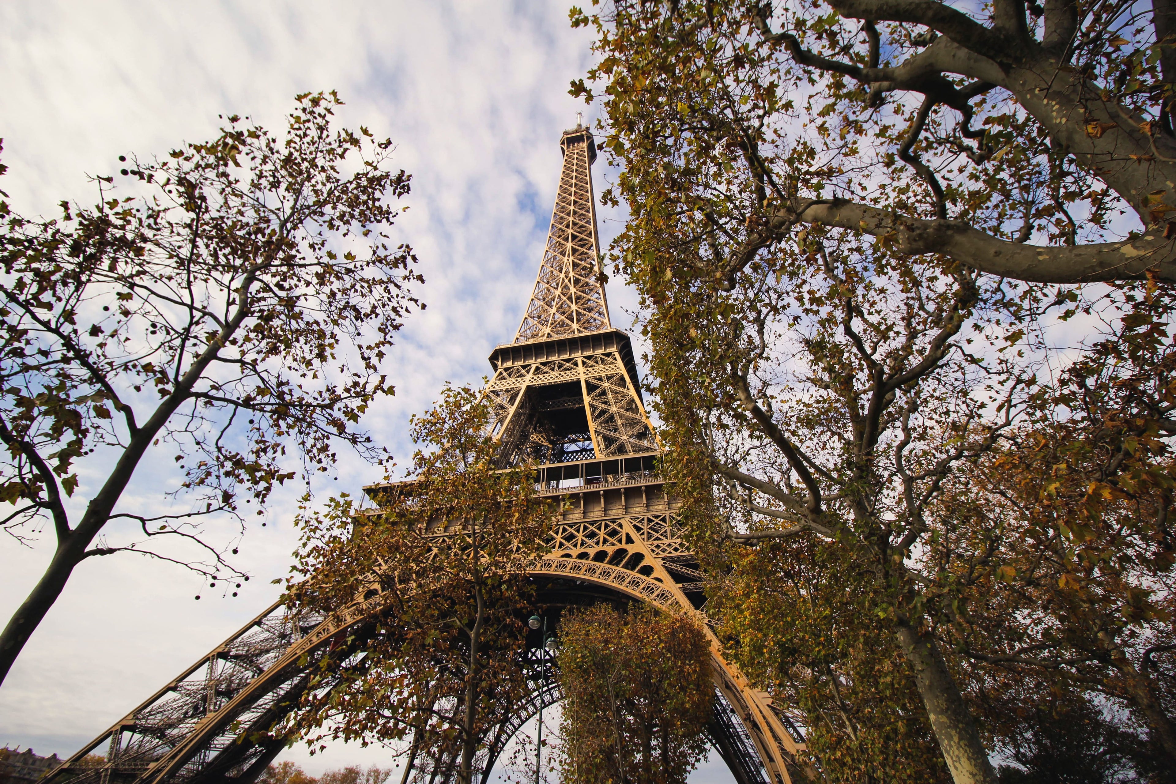 Image illustrant la Tour Eiffel vue du parc en automne et rappelant le savoir faire et la qualité des produits français dans les cosmétiques de luxe.