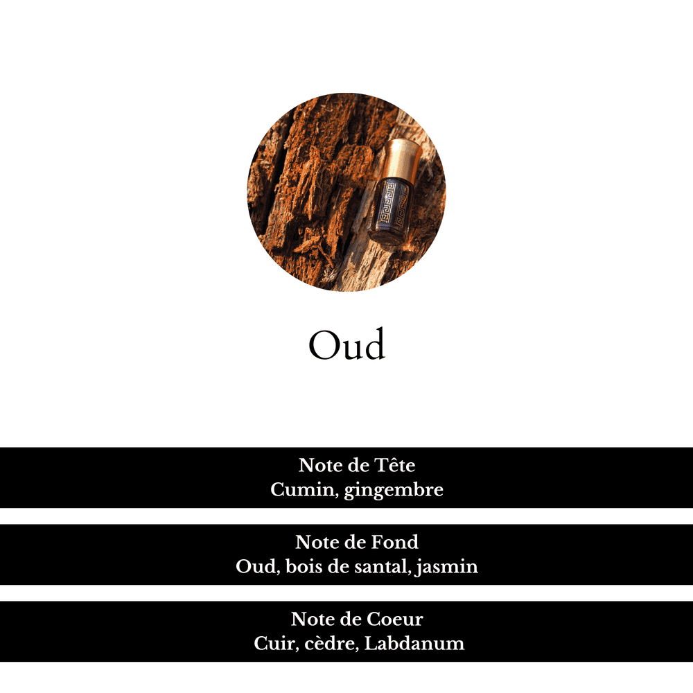 Notes de tête, fond et de coeur du parfum Oud.