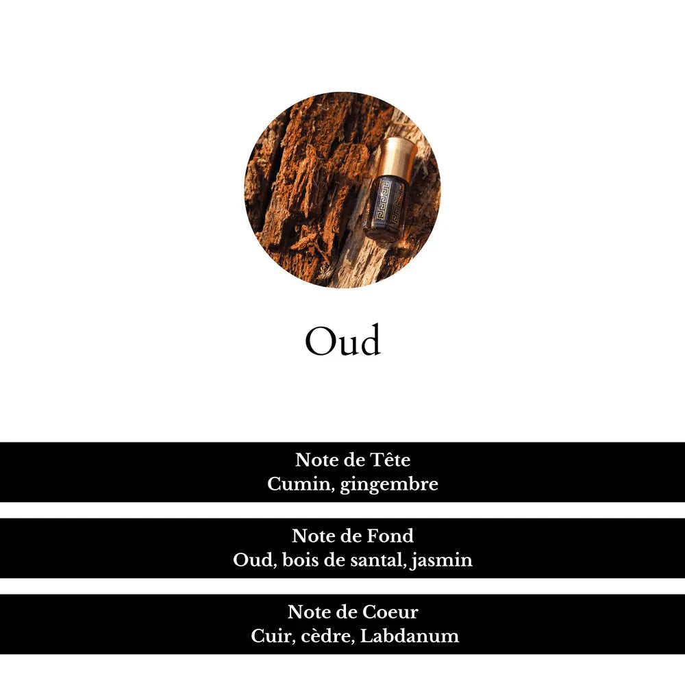 Notes de tête, fond et de coeur du parfum Oud.