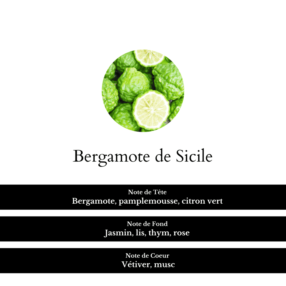 Notes de tête, fond et de coeur du parfum Bergamote de Sicile.