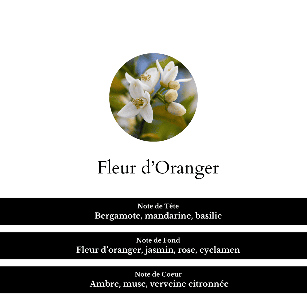 Fragrance fleur d'oranger et ses notes de tête, de fond et de coeur.