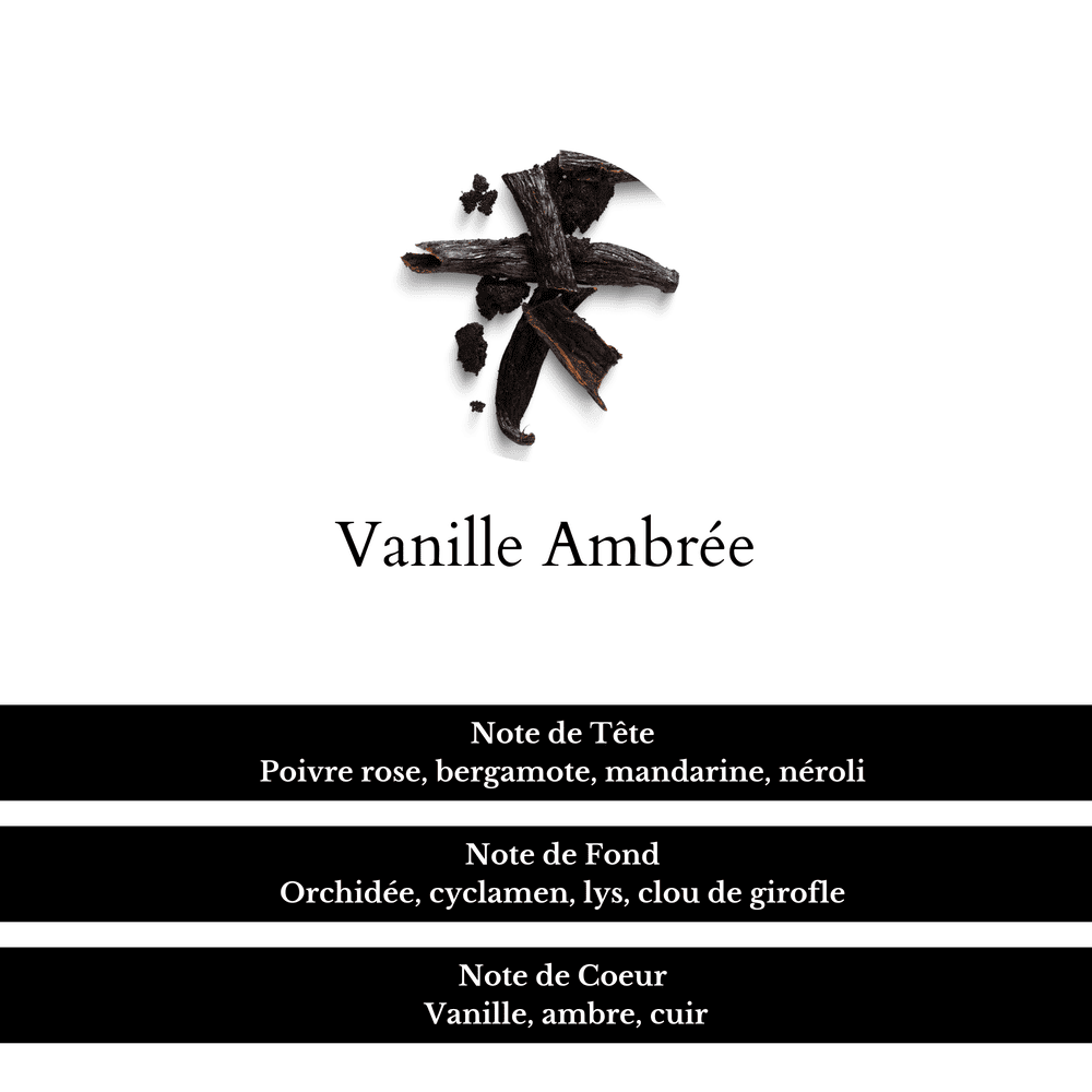 Notes de tête, fond et de coeur du parfum Vanille Ambrée.