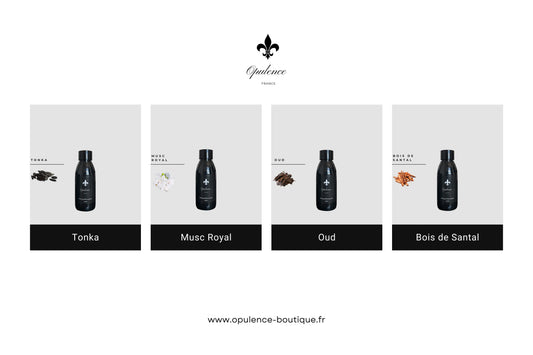 Recharges de Diffuseur pour Parfum à Bâtonnets Opulence : L'Art de Réinventer Votre Ambiance Opulence