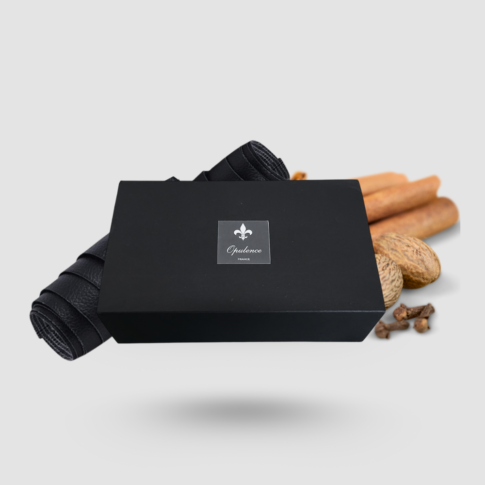 Coffret cadeau barbe opulence en lévitation parfum cuir et épices.
