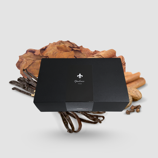 Coffret cadeau barbe pour homme parfum Tabac Vanille Épices Opulence.