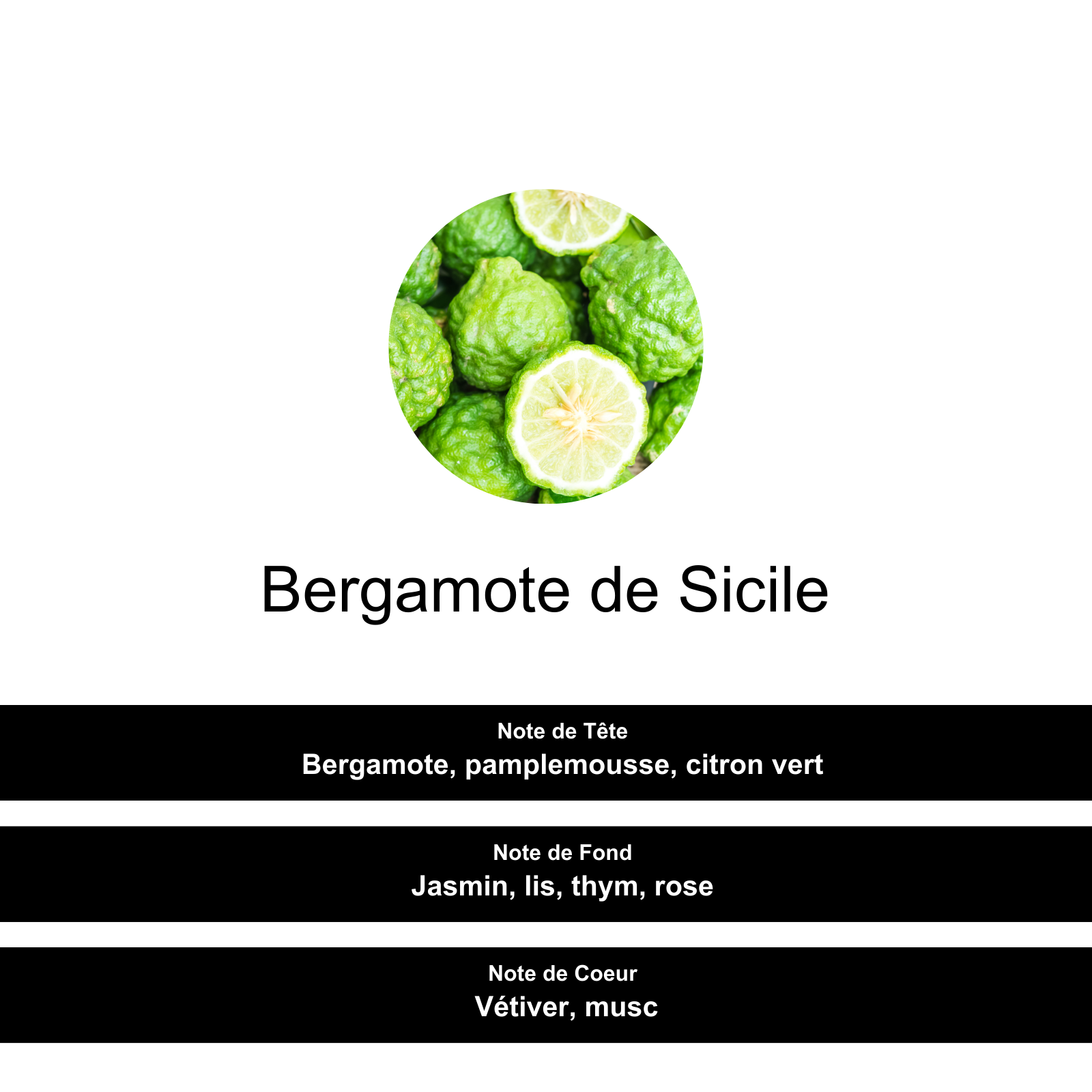 Image illustrant la composition du parfum Bergamote de Sicile, avec ses notes de Tête, de Fond et de Coeur.