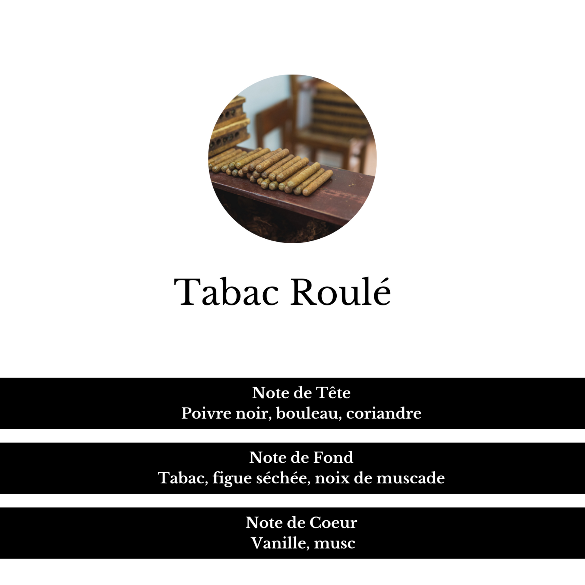 Image sur la composition du parfum Tabac Roulé avec ses notes de Tête, de Fond et de Coeur.