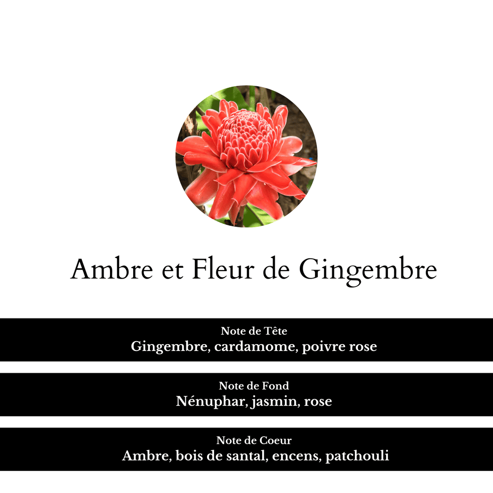 Fragrance ambre et fleur de gingembre avec ses notes de tête, de fond et de coeur.