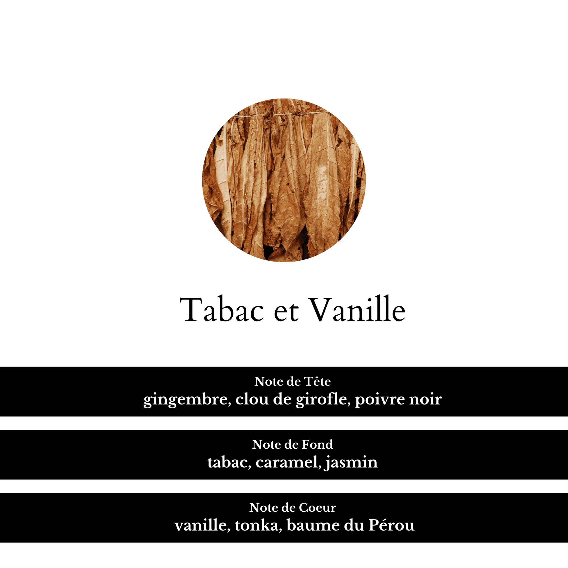 Fragrance tabac et vanille composition.