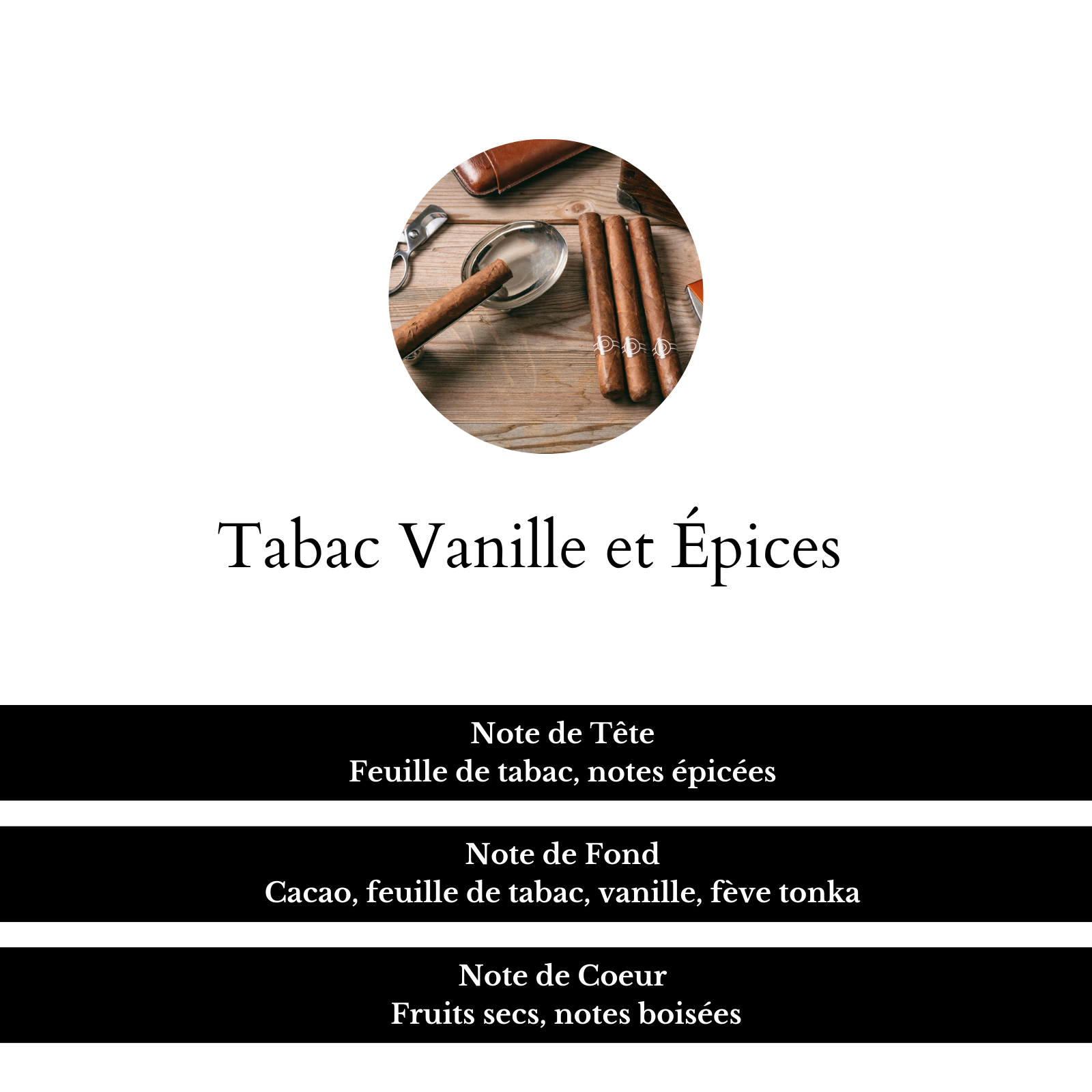 image illustrant le parfum Tabac Vanille et Épices, mettant en avant les notes de Tête (feuille de tabac, notes épicées), note de Fond (cacao, feuille de tabac, vanille, fève tonka) et note de Coeur (fruits secs, notes boisées) 