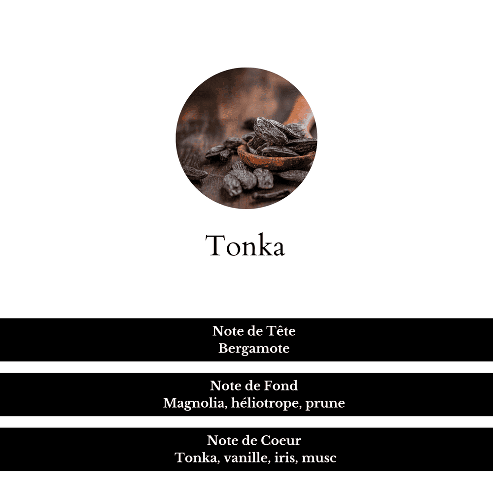 Notes de tête, fond et de coeur du parfum Tonka.