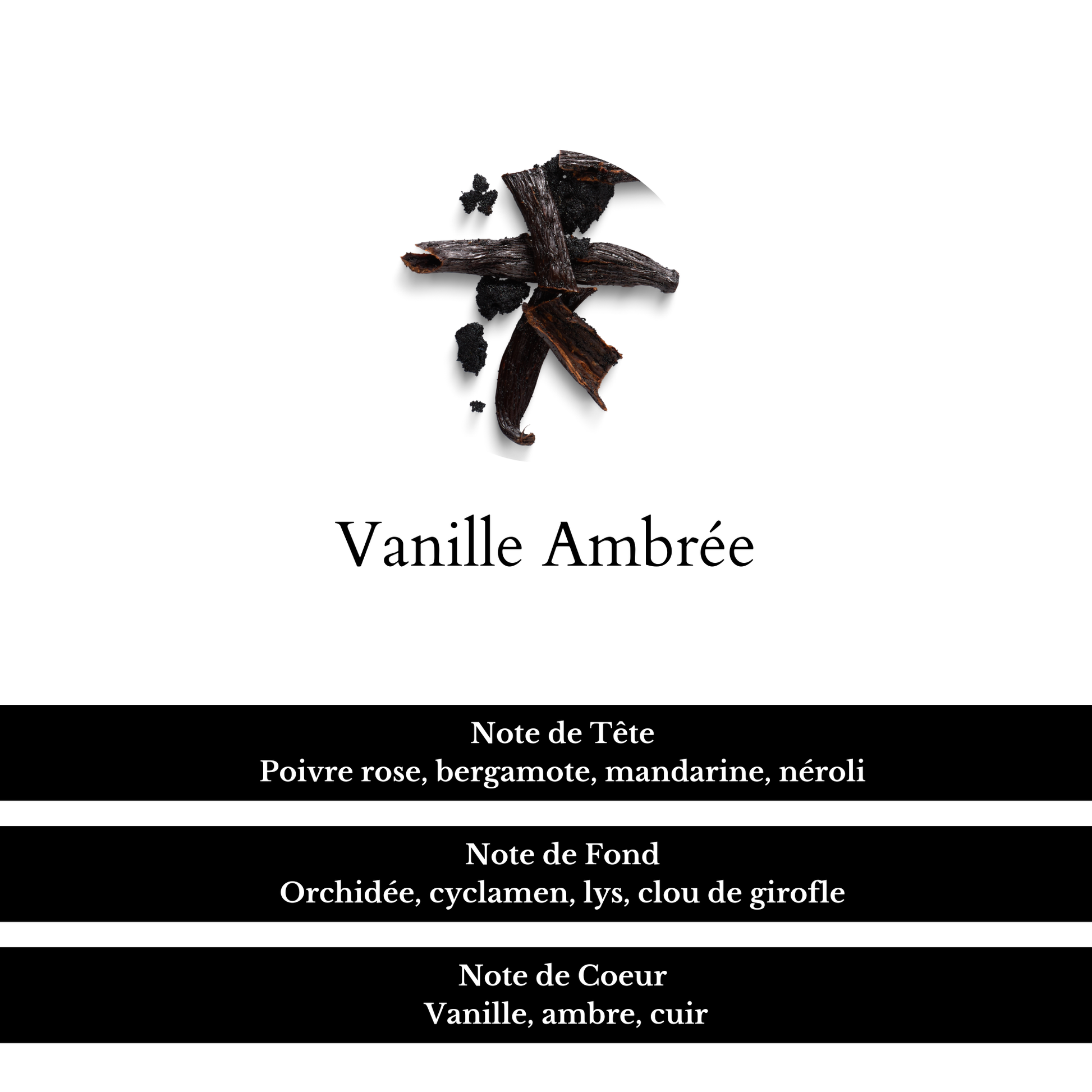 Composition du parfum Vanille Noire, avec ses notes de Tête, de Fond et de Coeur.