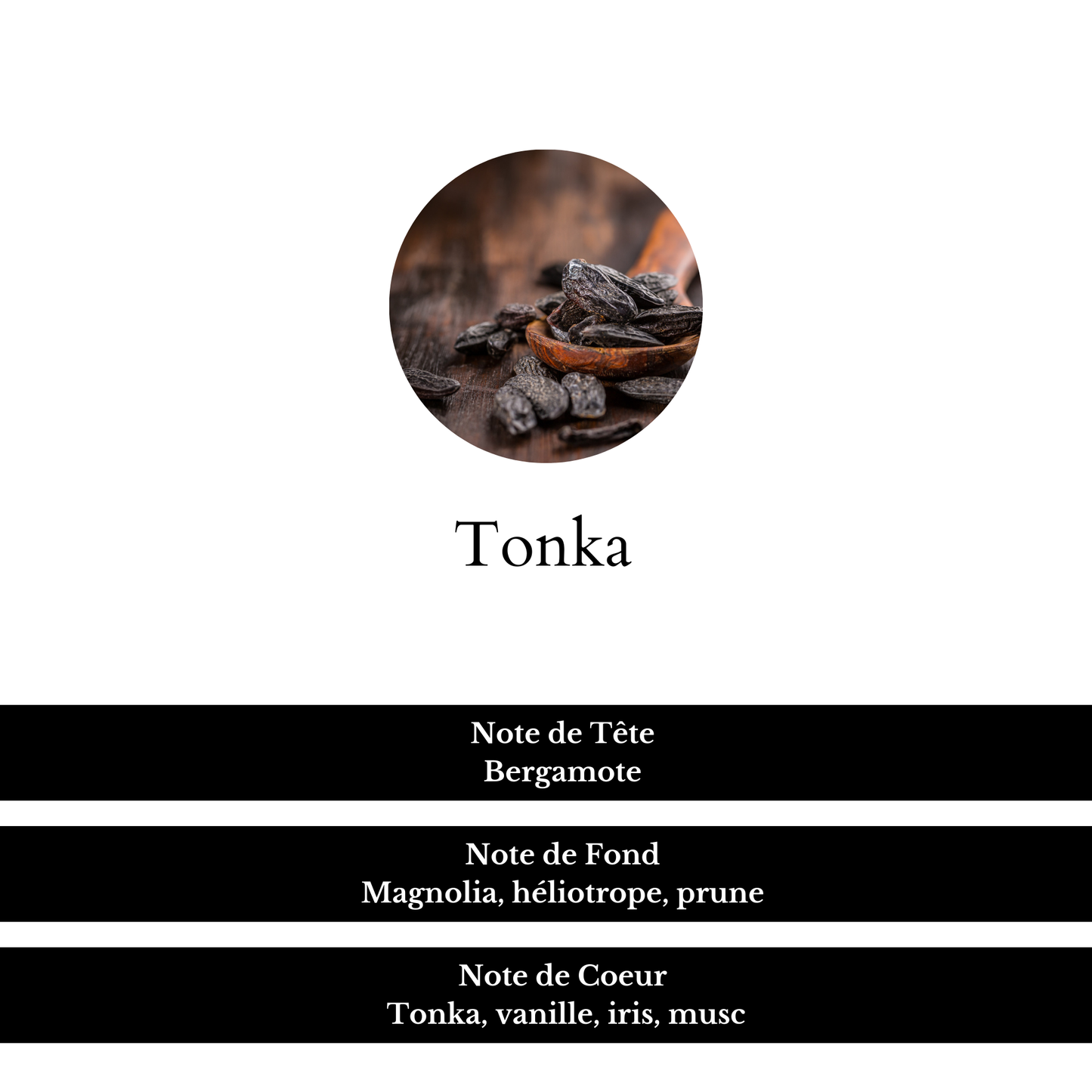 Composition du parfum Tonka, avec ses notes de Tête, de Fond et de Coeur.